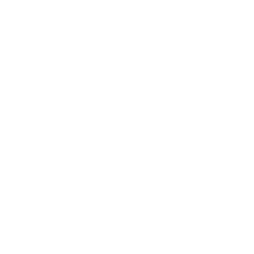 Search analytics dashboard icon